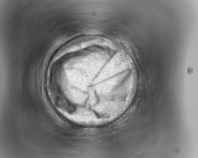 X0000101960145200808151323
