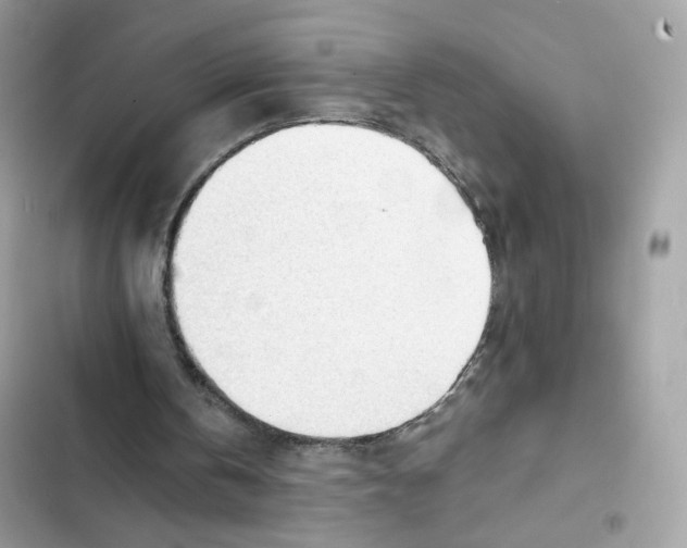 X0000101960146200808151323