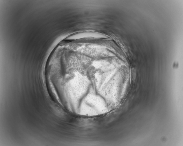 X0000101960147200808151323