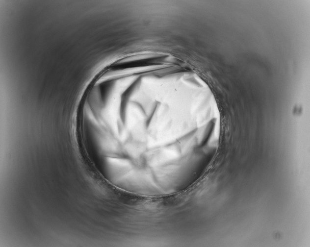 X0000101960148200808151323