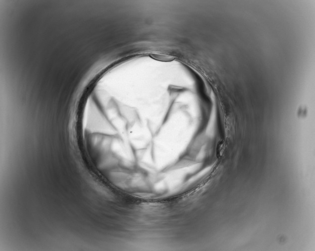 X0000101960150200808151323
