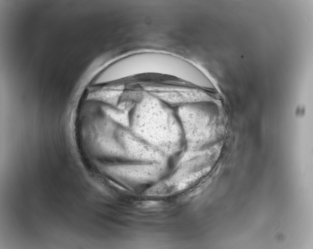 X0000101960151200808151323