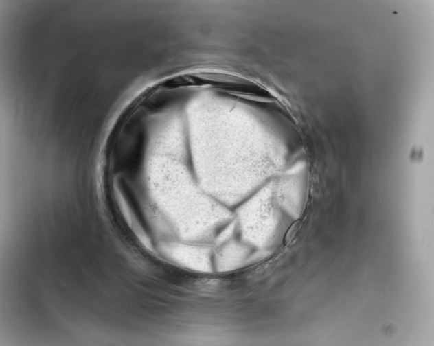 X0000101960152200808151323