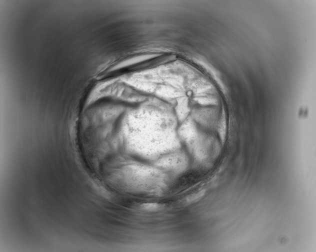 X0000101960153200808151323