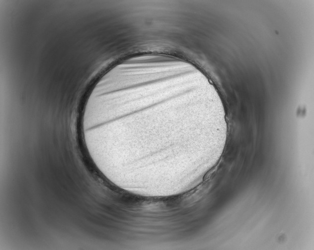 X0000101960154200808151323