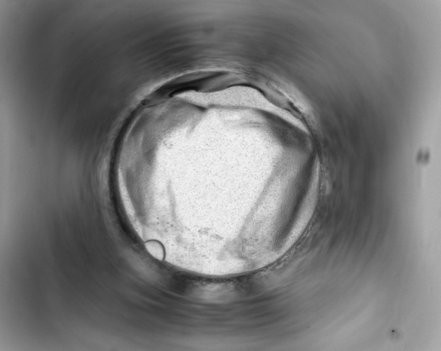 X0000101960155200808151323