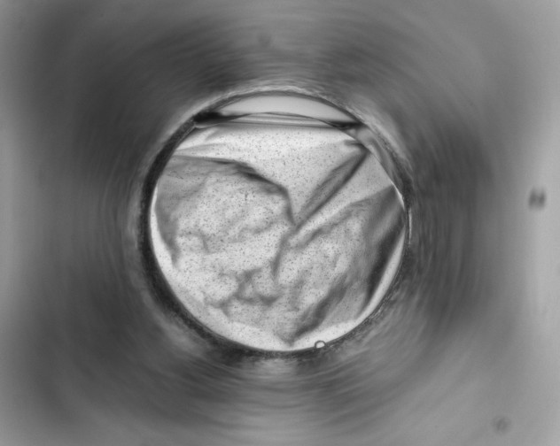 X0000101960156200808151323