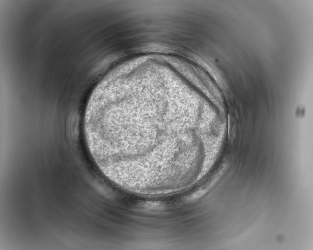 X0000101960157200808151323
