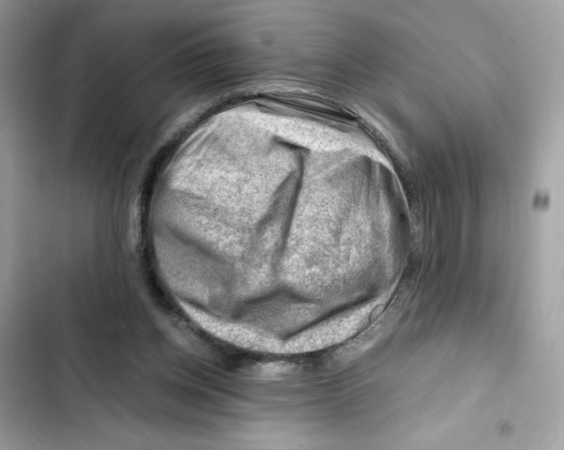 X0000101960158200808151323