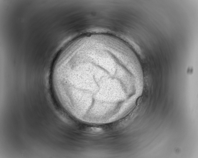 X0000101960159200808151323