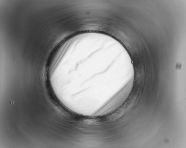 X0000101960160200808151323
