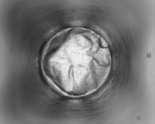 X0000101960161200808151323