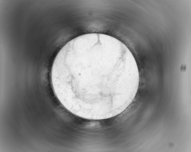 X0000101960162200808151323