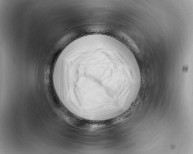 X0000101960163200808151323