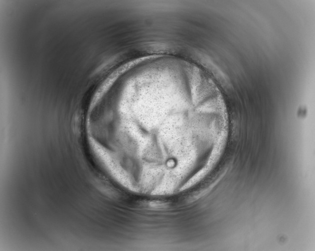 X0000101960165200808151323