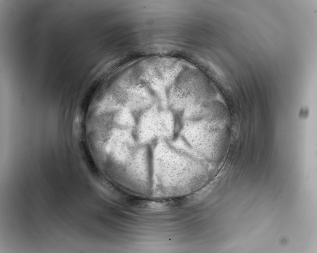 X0000101960166200808151323
