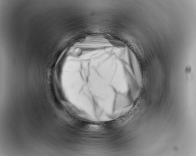 X0000101960167200808151323