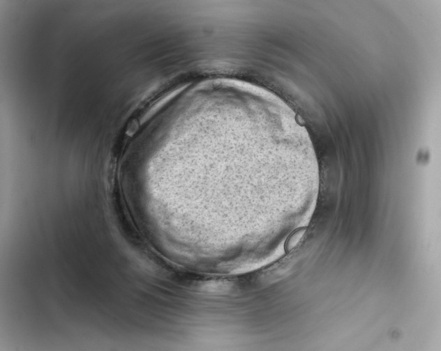 X0000101960168200808151323