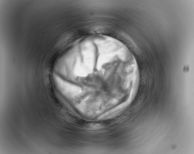 X0000101960169200808151323