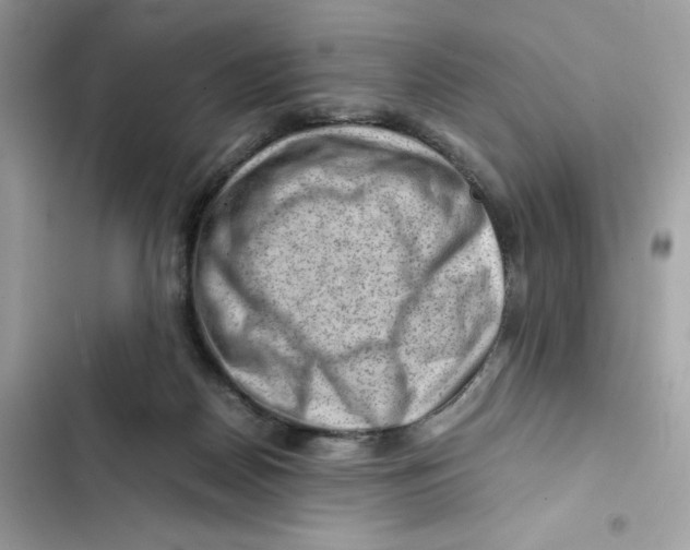 X0000101960170200808151323