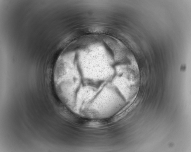 X0000101960171200808151323