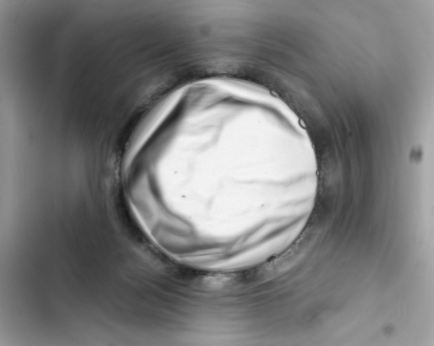 X0000101960172200808151323