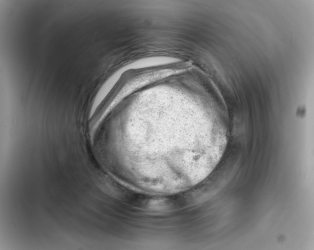 X0000101960173200808151323