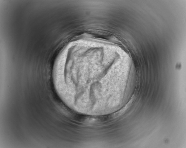 X0000101960174200808151323