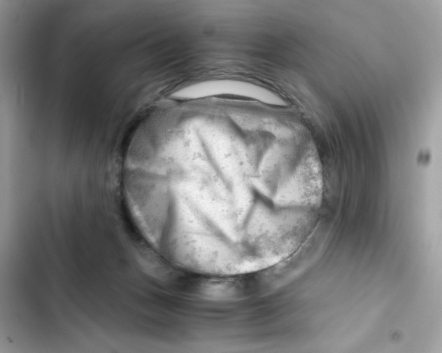 X0000101960175200808151323