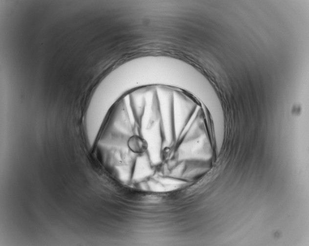 X0000101960176200808151323