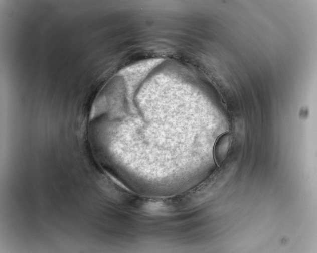 X0000101960177200808151323