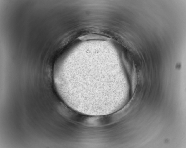 X0000101960178200808151323