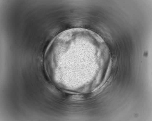 X0000101960179200808151323