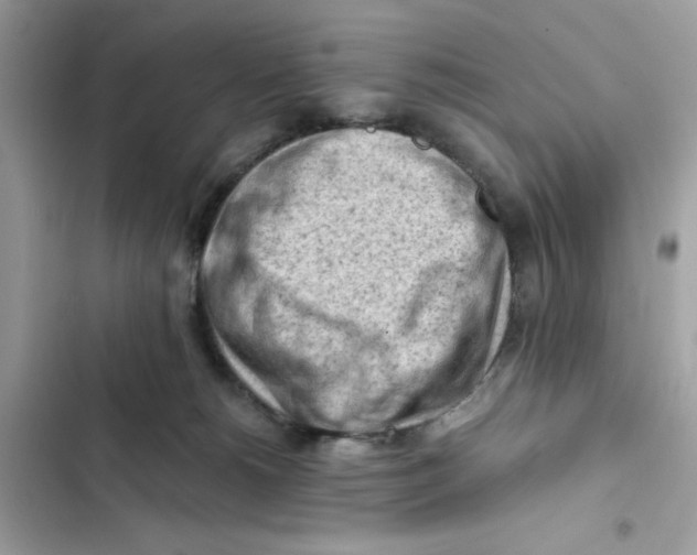 X0000101960180200808151323