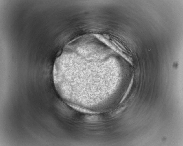 X0000101960181200808151323