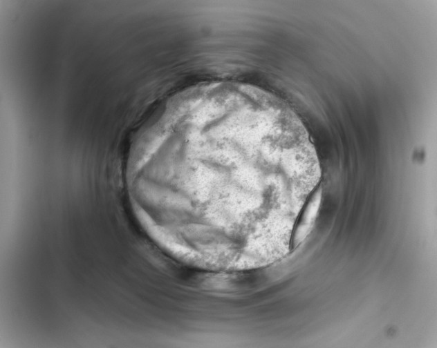 X0000101960182200808151323