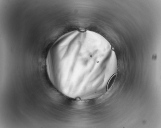 X0000101960184200808151323