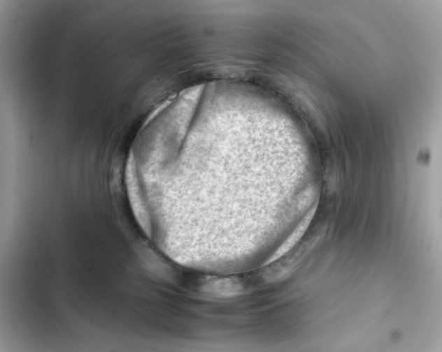 X0000101960185200808151323