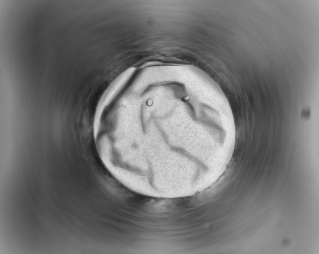 X0000101960186200808151323