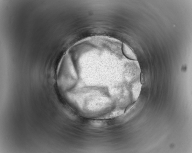 X0000101960187200808151323