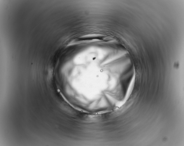 X0000101960188200808151323