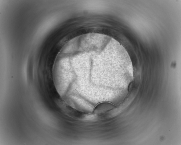 X0000101960189200808151323