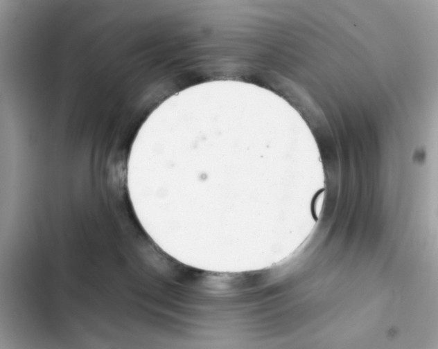 X0000101960190200808151323