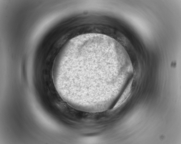 X0000101960191200808151323