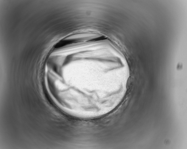 X0000101960193200808151323