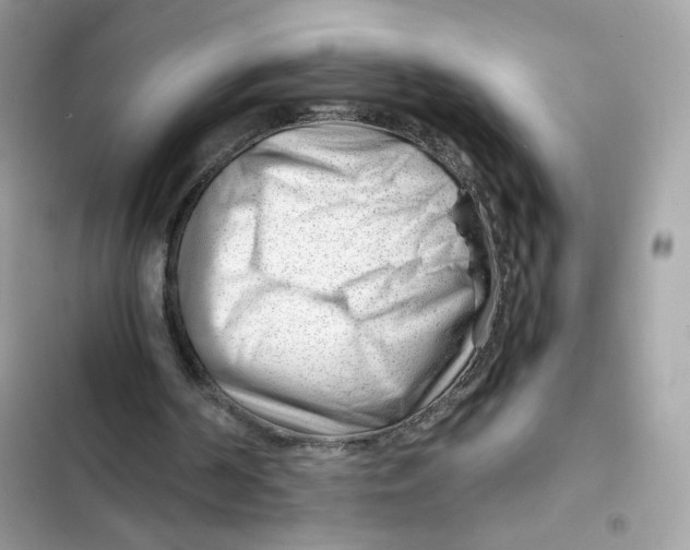 X0000101960194200808151323