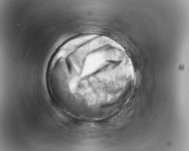 X0000101960195200808151323
