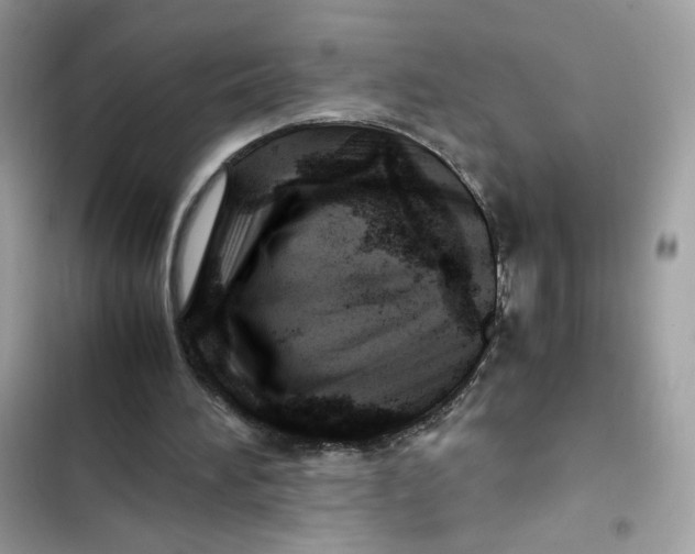 X0000101960196200808151323