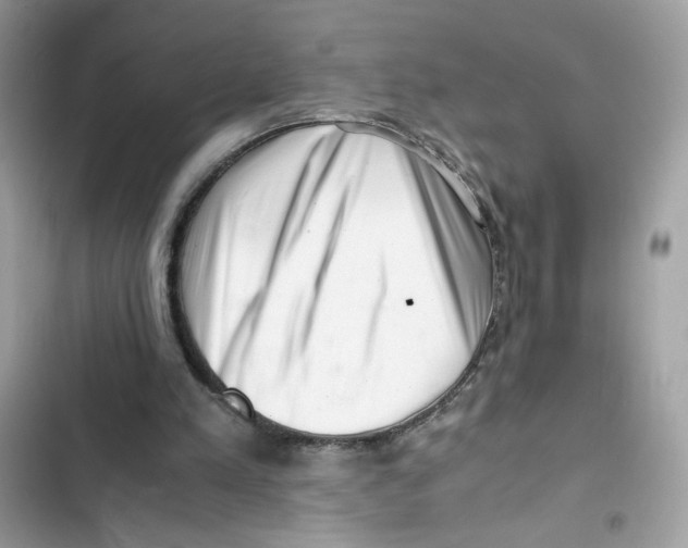 X0000101960197200808151323