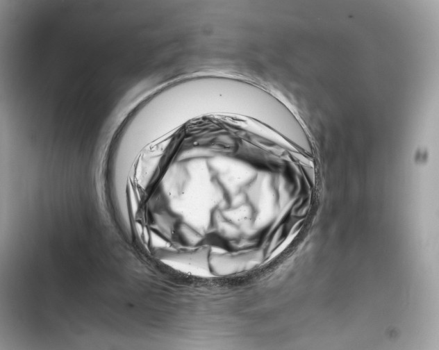 X0000101960199200808151323
